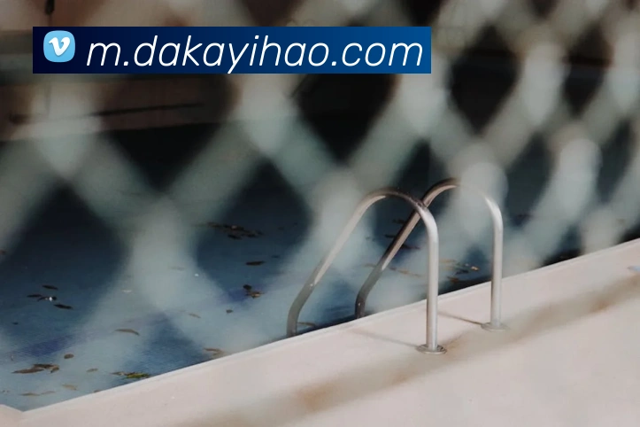 多媒体互动体验